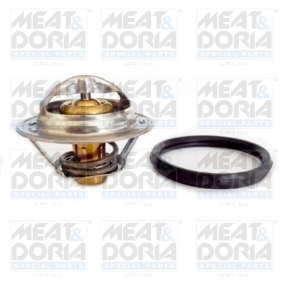 Thermostat, coolant